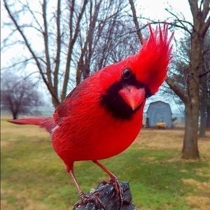 Meet your Posher, Laura